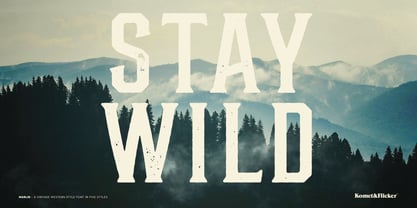 MARLIN Font Poster 8