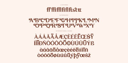 Mystic Grace Font Poster 8