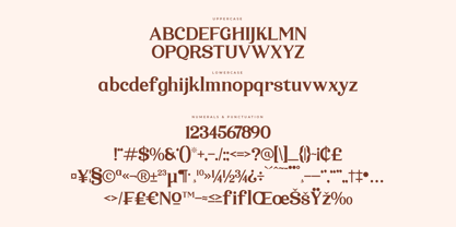 Mystic Grace Font Poster 7