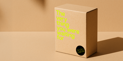 RFX Gambia Font Poster 8