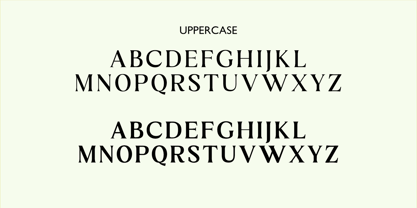 Bagusan Serif Font Poster 2