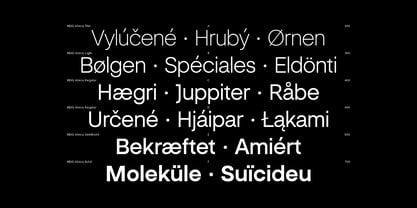 INDG Alvica Font Poster 4