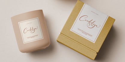 Velocity Romantica Font Poster 8