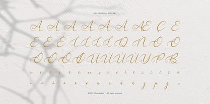 Velocity Romantica Font Poster 11