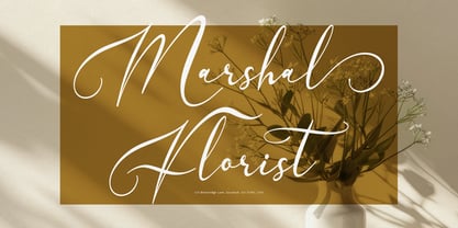 Velocity Romantica Font Poster 5