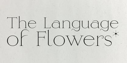 Heartstring Font Poster 9