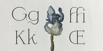 Heartstring Font Poster 7