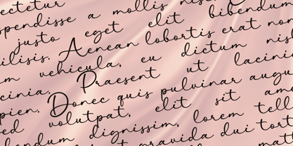 Gillagen Font Poster 4