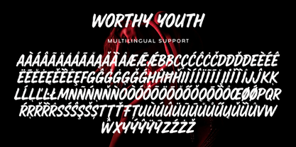 Worthy Youth Font Poster 14