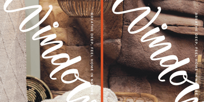 Gallery Society Font Poster 12