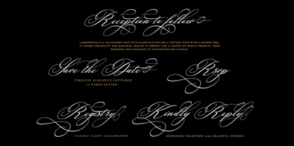 Lamborghini Script Font Poster 3