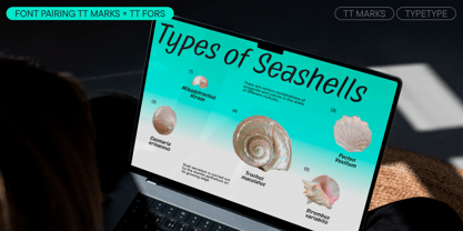 TT Marks Font Poster 6