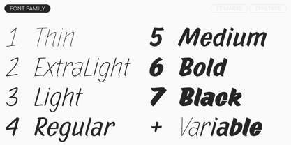 TT Marks Font Poster 4