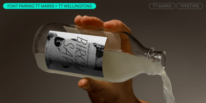 TT Marks Font Poster 11