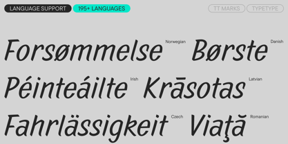 TT Marks Font Poster 9