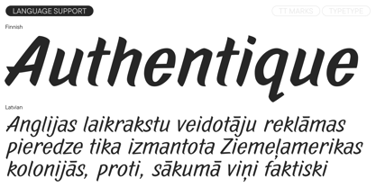 TT Marks Font Poster 10