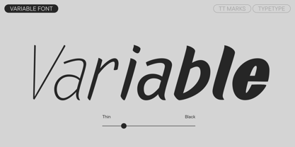 TT Marks Font Poster 5