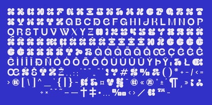 Raspier Mixed Font Poster 3