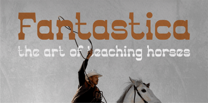 Mayor Sheriv Font Poster 2