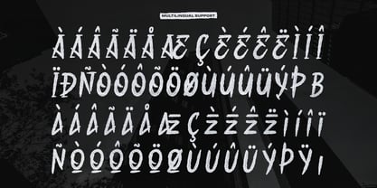 Rawra Brush Font Poster 11