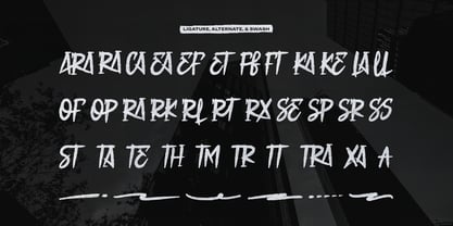 Rawra Brush Font Poster 12