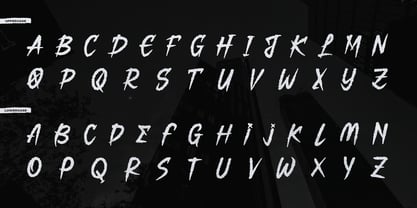 Rawra Brush Font Poster 10