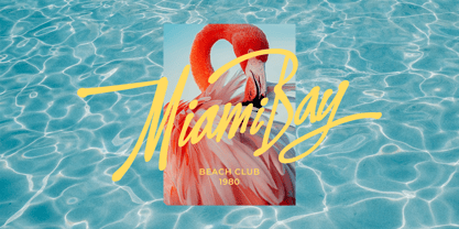 Aloniah Font Poster 6