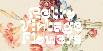 Runo Morus Font Poster 2