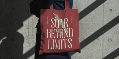 Broswick Font Poster 13