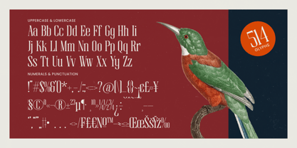 Broswick Font Poster 14