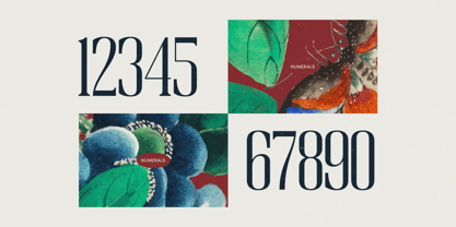 Broswick Font Poster 8