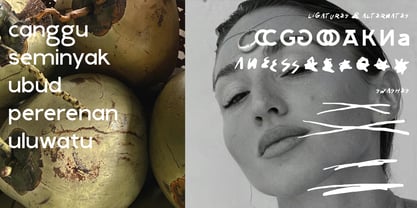 Cabrisa Font Poster 2