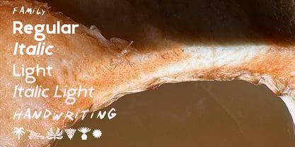 Cabrisa Font Poster 5