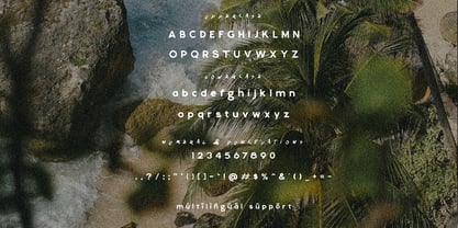 Cabrisa Font Poster 9