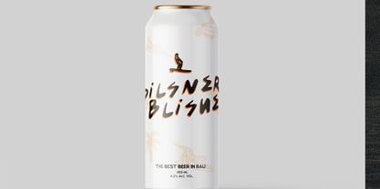 Cabrisa Font Poster 12