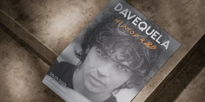 Cabrisa Font Poster 3