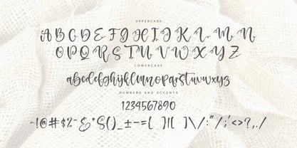 Amselia Parselia Font Poster 7