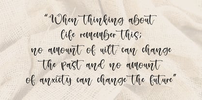 Amselia Parselia Font Poster 4