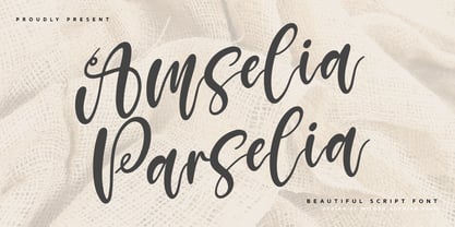 Amselia Parselia Font Poster 1
