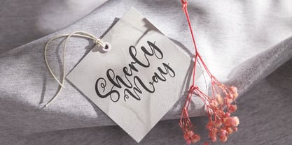 Amselia Parselia Font Poster 6