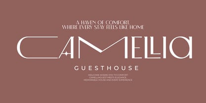 Luna Florea Font Poster 2