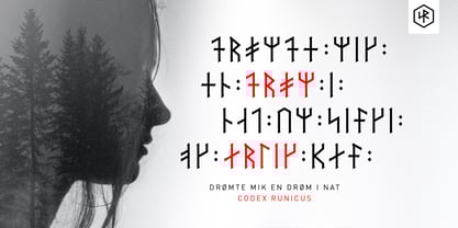 SigRuna Elder Futhark Font Poster 2