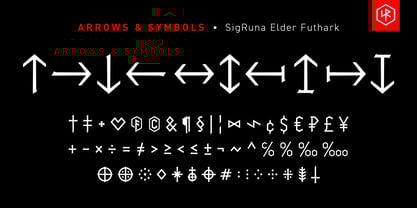 SigRuna Elder Futhark Font Poster 5