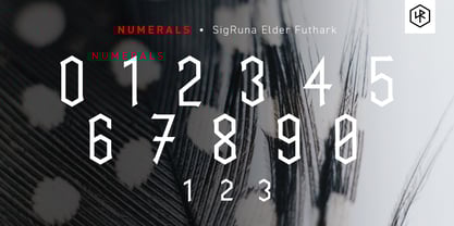 SigRuna Elder Futhark Font Poster 6