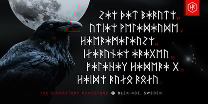 SigRuna Elder Futhark Font Poster 9