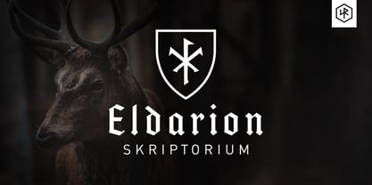 SigRuna Elder Futhark Font Poster 12