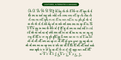 Baghera Thenetta Font Poster 14