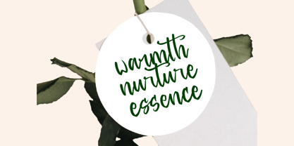 Baghera Thenetta Font Poster 9