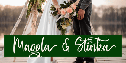 Baghera Thenetta Font Poster 6