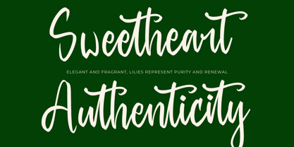 Baghera Thenetta Font Poster 8